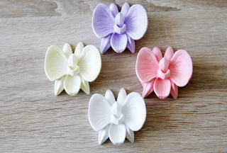 Orchidea 113